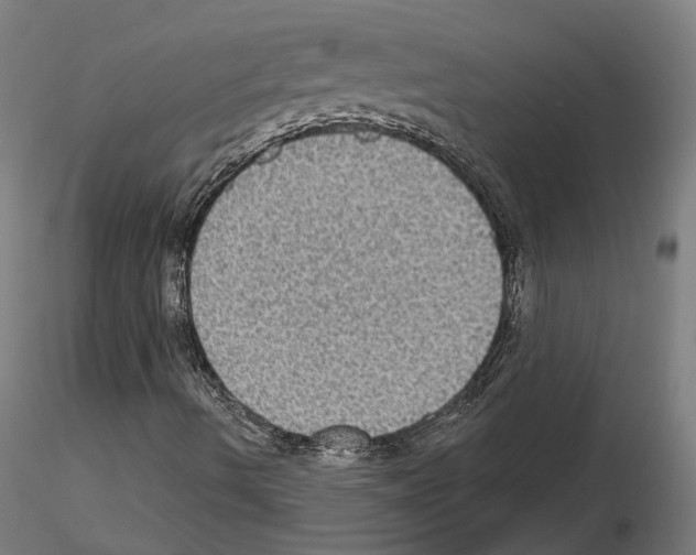 X0000115201490200912091121