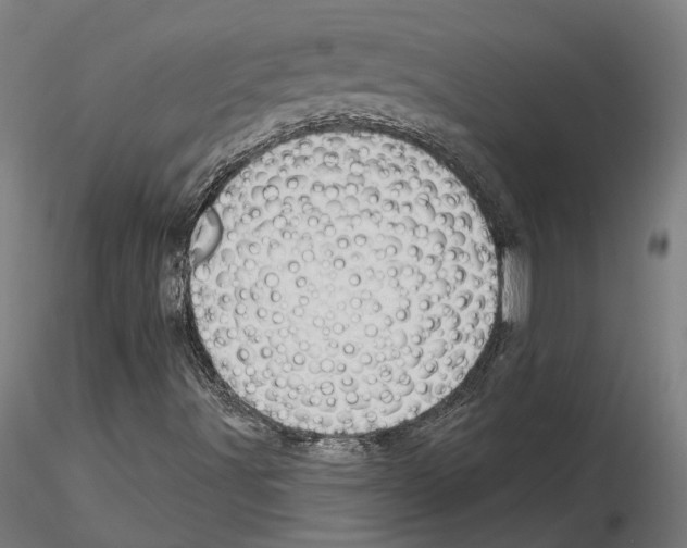 X0000115201491200912091121