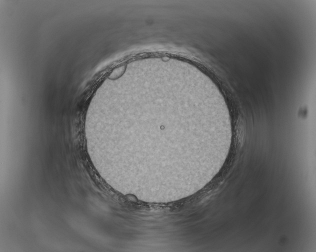 X0000115201494200912091122