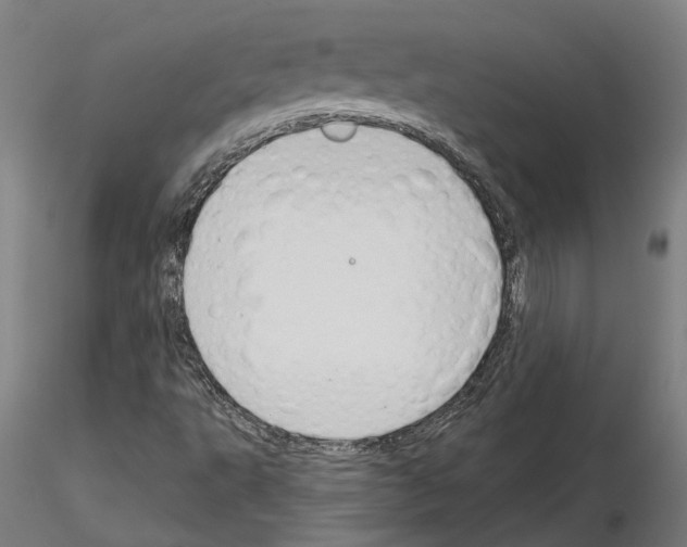 X0000115201495200912091122