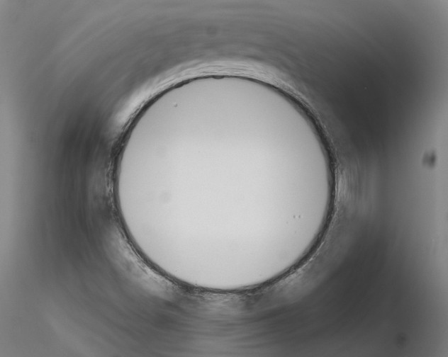 X0000115201498200912091122