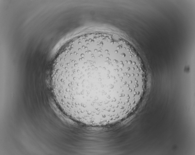 X0000115201499200912091122