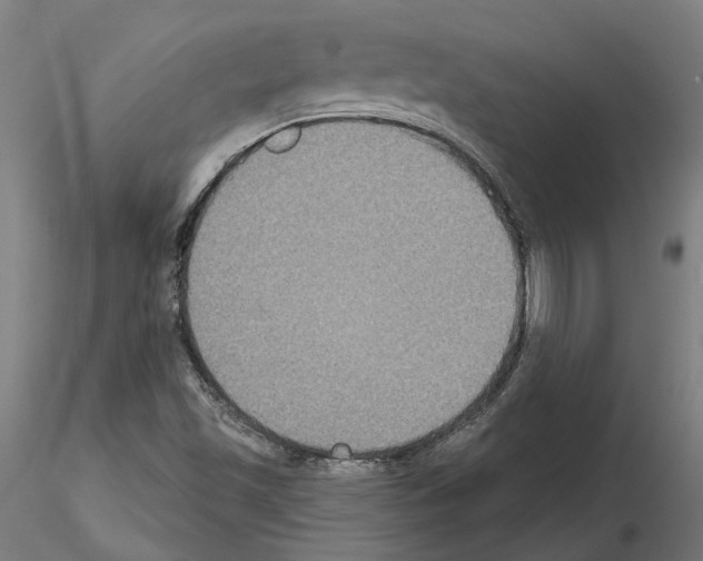 X0000115201501200912091122