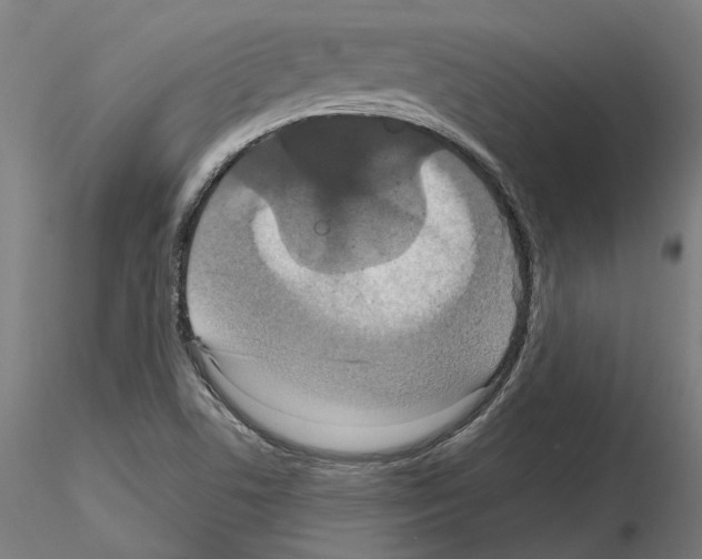 X0000115201506200912091122