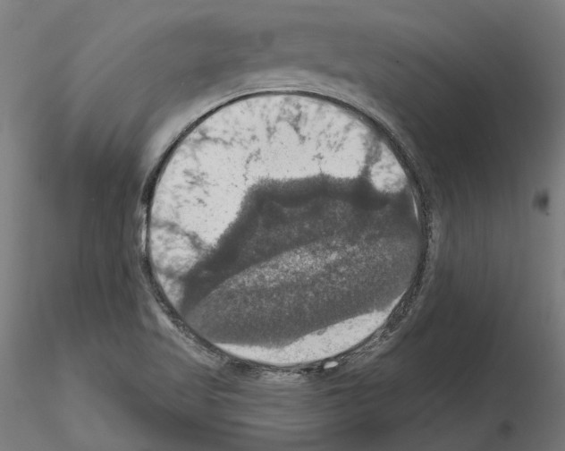 X0000115201509200912091122