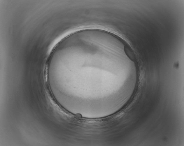 X0000115201510200912091122
