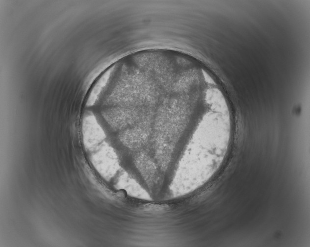 X0000115201513200912091122