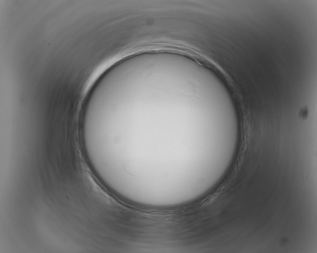 X0000115201514200912091122