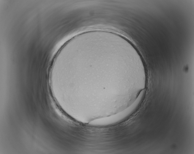 X0000115201515200912091122