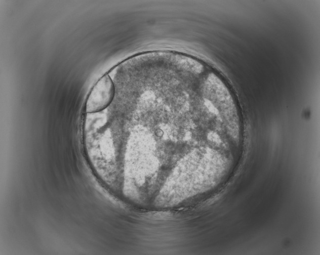 X0000115201517200912091122