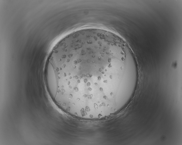 X0000115201519200912091122