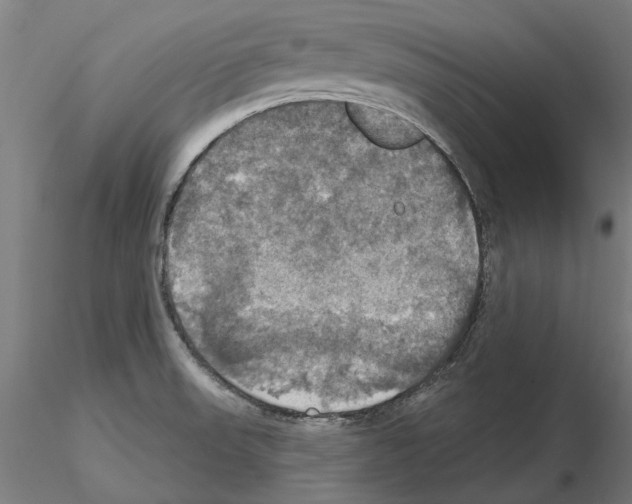 X0000115201523200912091122