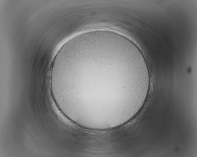 X0000115201526200912091122