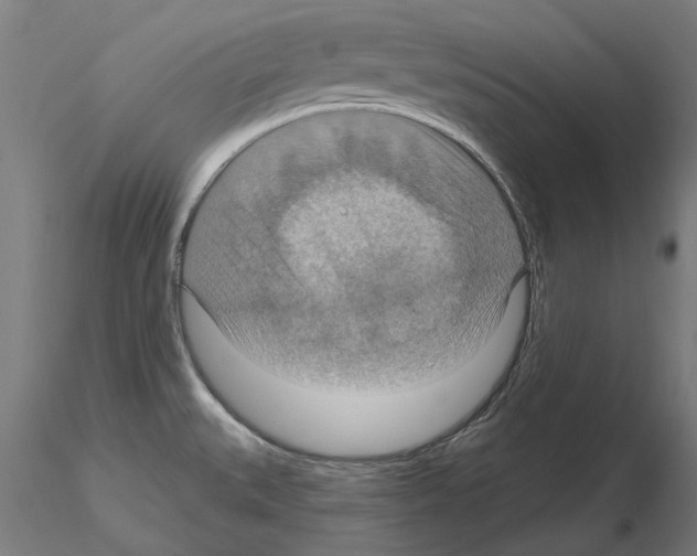 X0000115201527200912091122