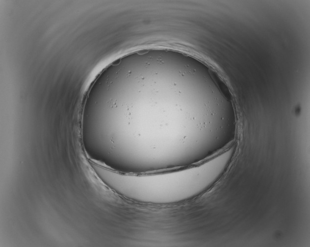 X0000115201530200912091122