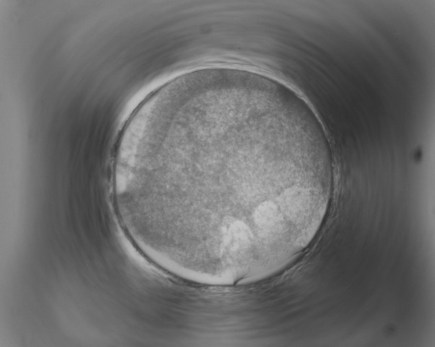 X0000115201531200912091122