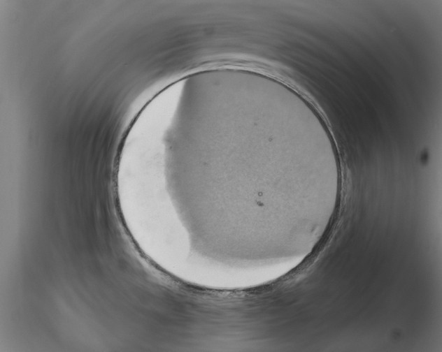 X0000115201533200912091122