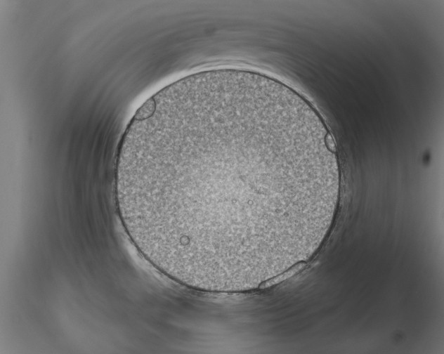 X0000115201534200912091122