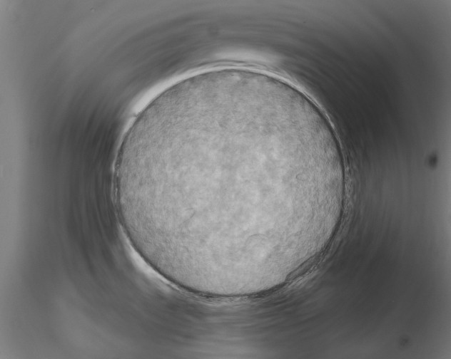 X0000115201535200912091122
