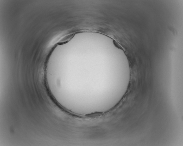 X0000115210005200911121914