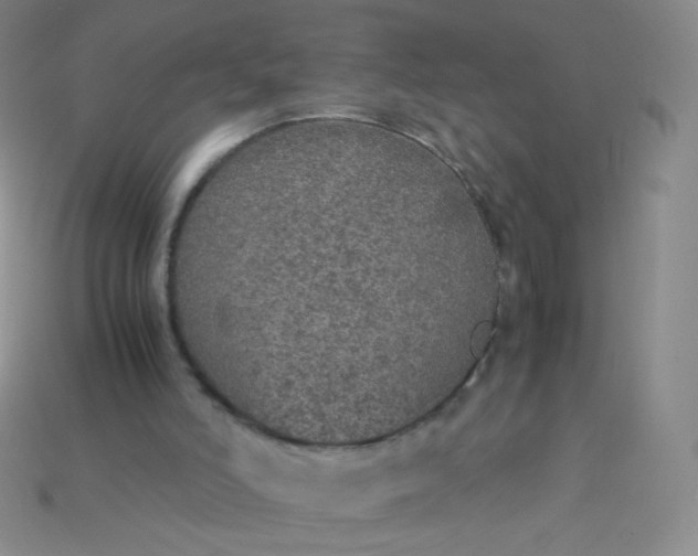 X0000115210006200911121914