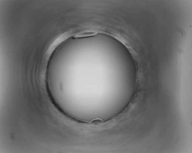 X0000115210007200911121914