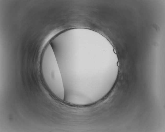 X0000115210008200911121914