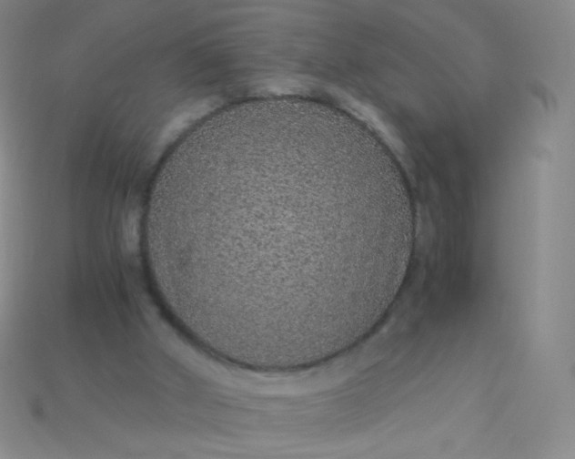 X0000115210010200911121914