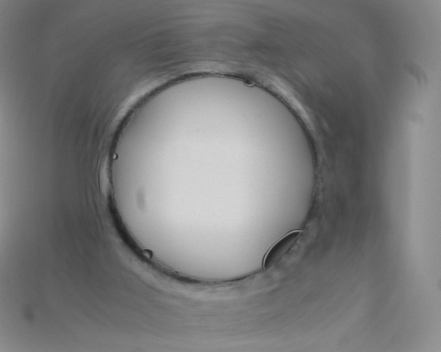 X0000115210011200911121914