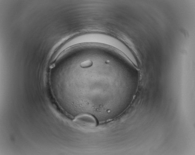 X0000115210012200911121914