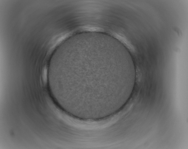 X0000115210014200911121914