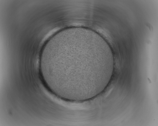 X0000115210016200911121914