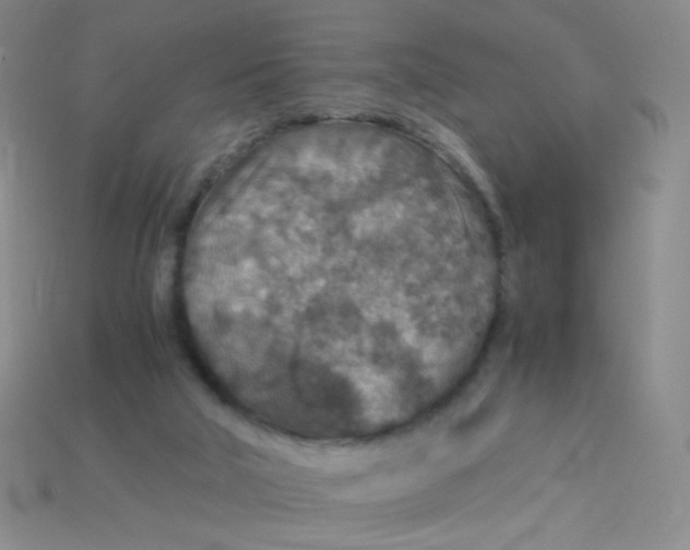 X0000115210018200911121913