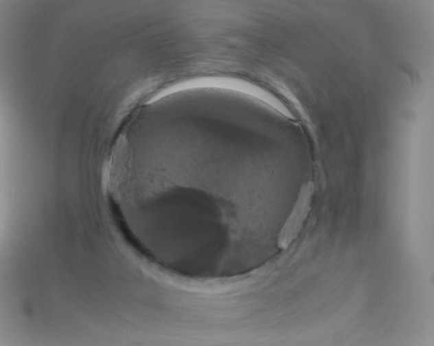 X0000115210019200911121913