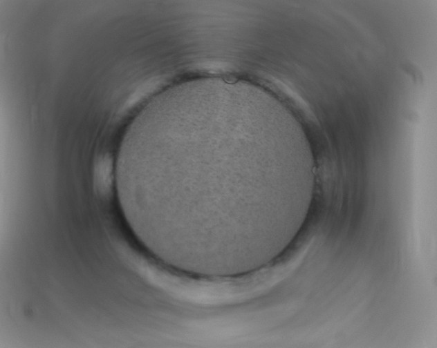 X0000115210024200911121913