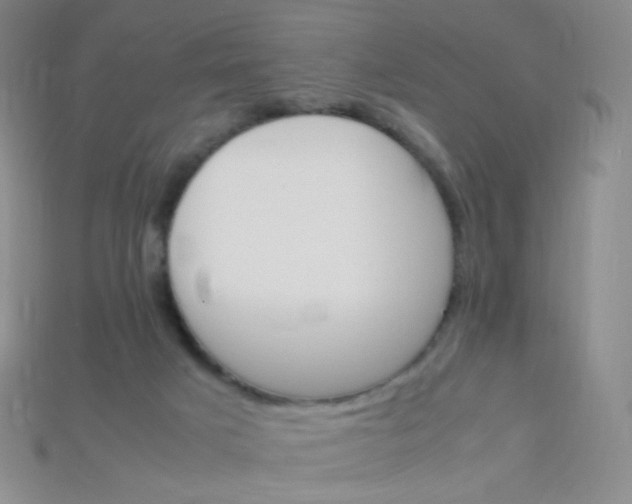 X0000115210025200911121913