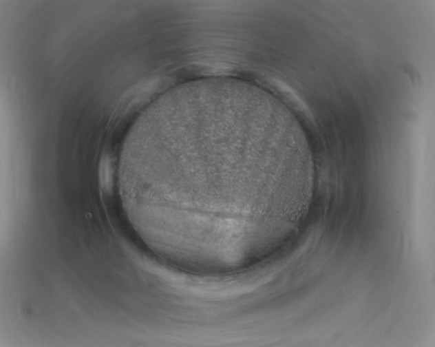 X0000115210026200911121913