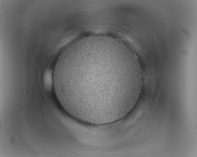 X0000115210028200911121913