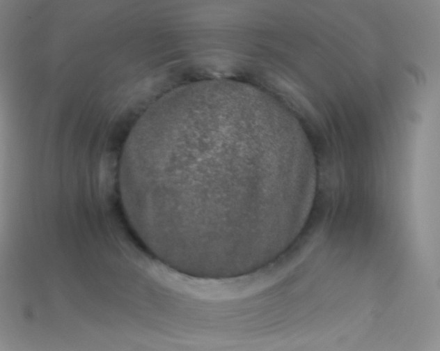 X0000115210030200911121913