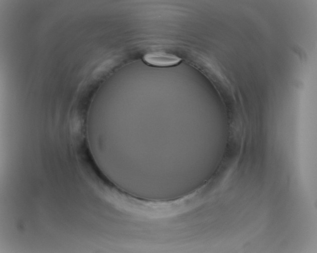 X0000115210031200911121913