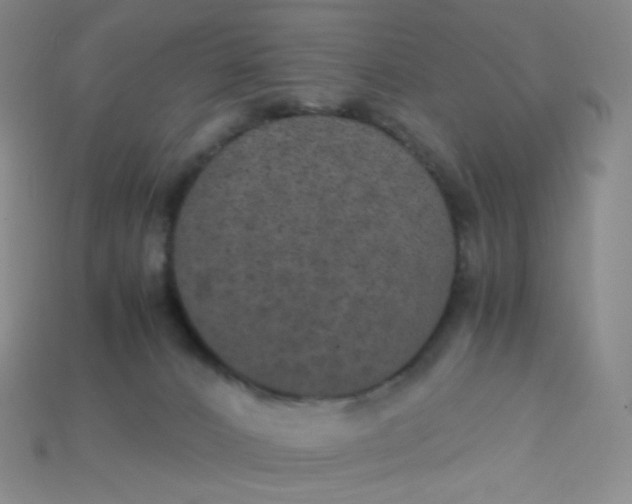 X0000115210032200911121913