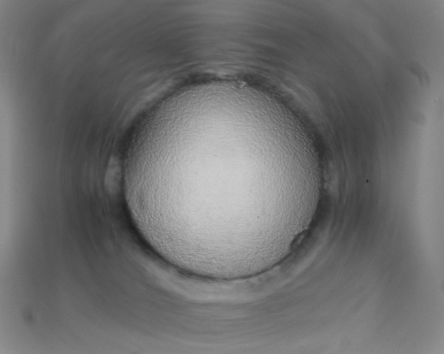 X0000115210036200911121913