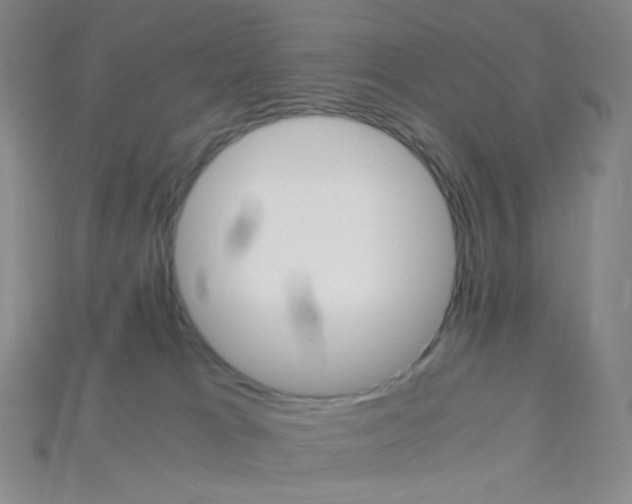 X0000115210037200911121913