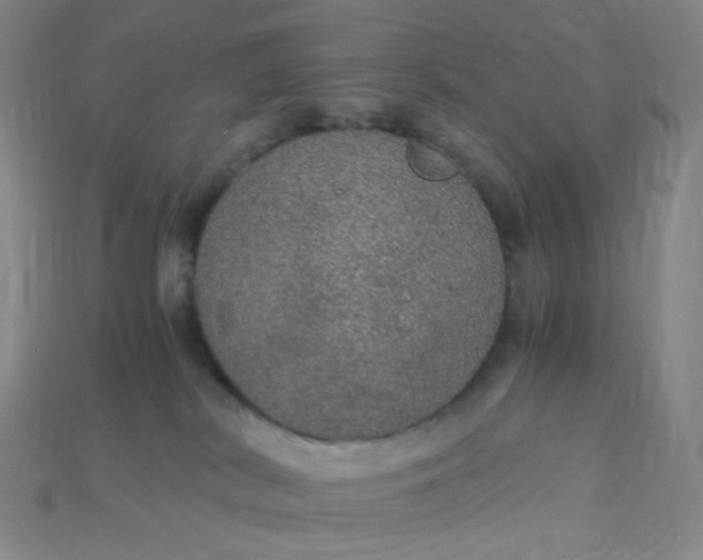 X0000115210038200911121913