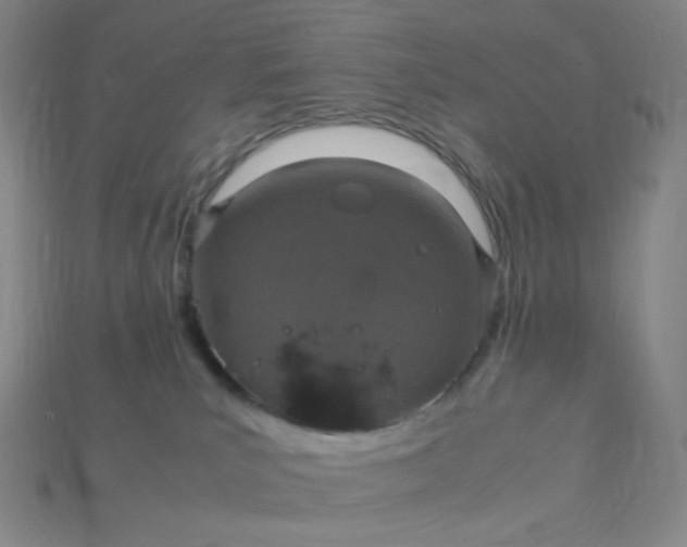 X0000115210039200911121913