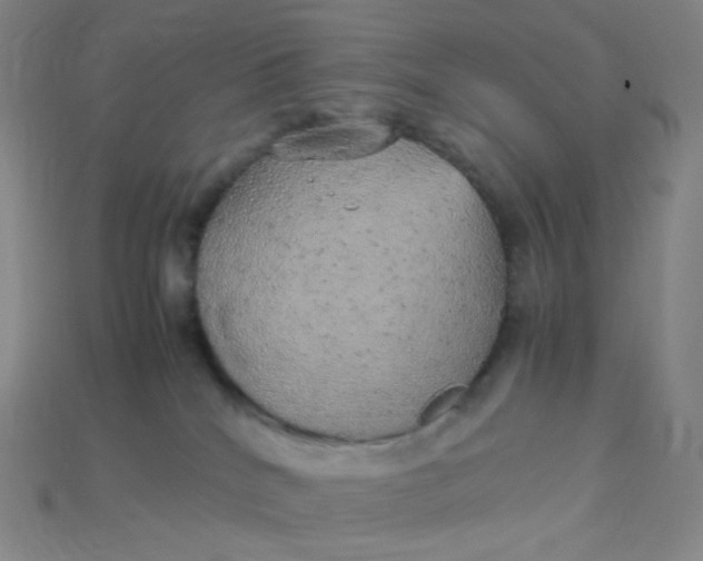 X0000115210040200911121913