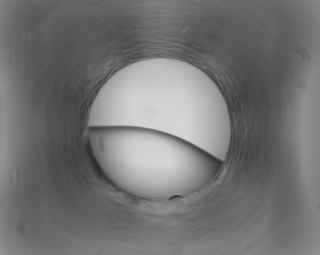 X0000115210041200911121913