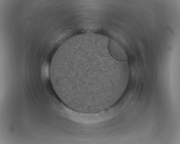 X0000115210042200911121913