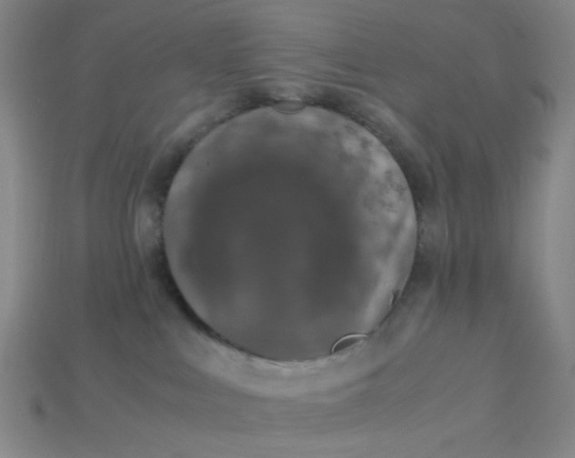 X0000115210043200911121913