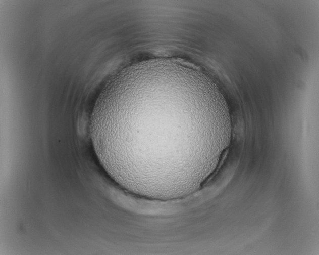 X0000115210044200911121913